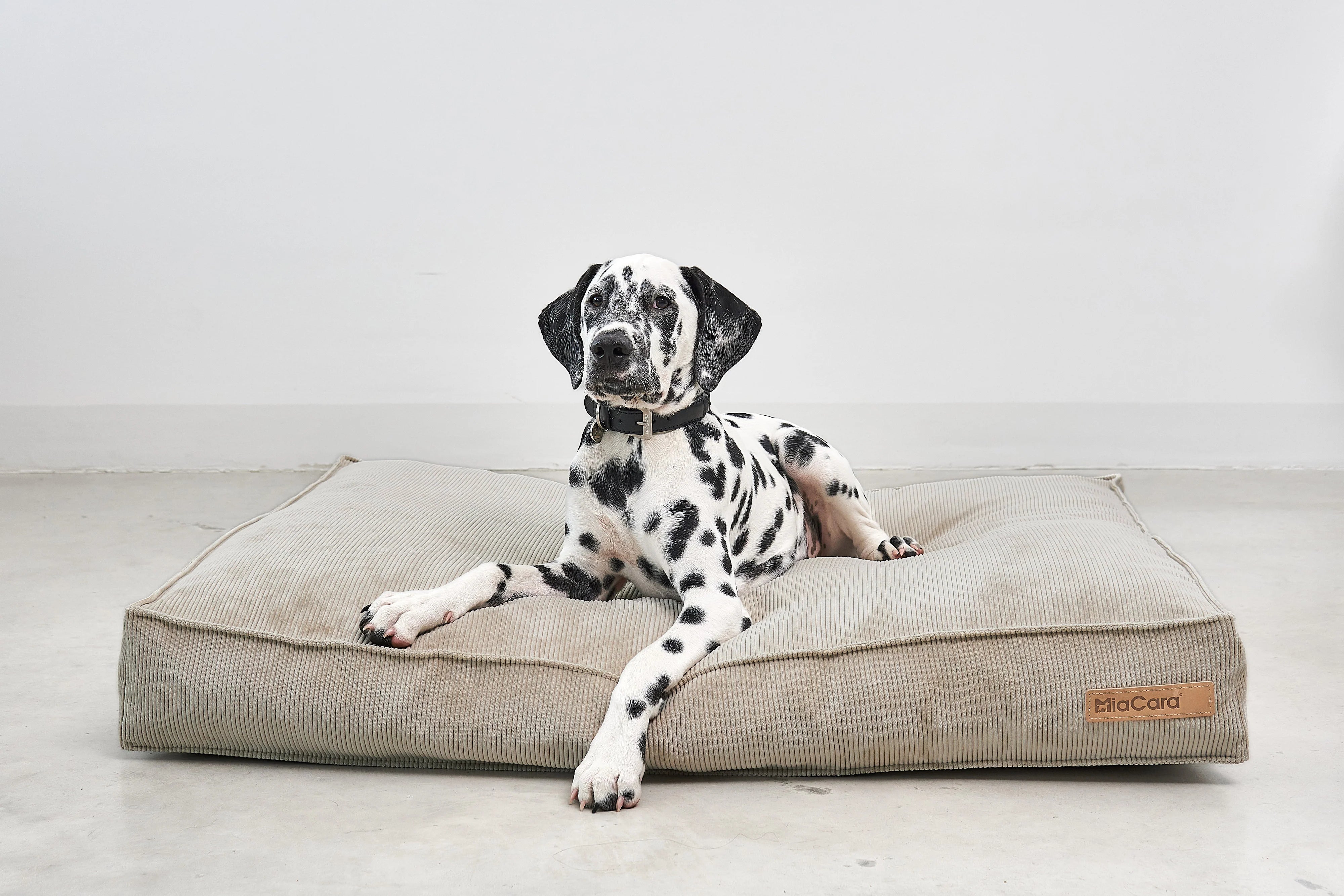 Cordo – Coussin design en velours côtelé