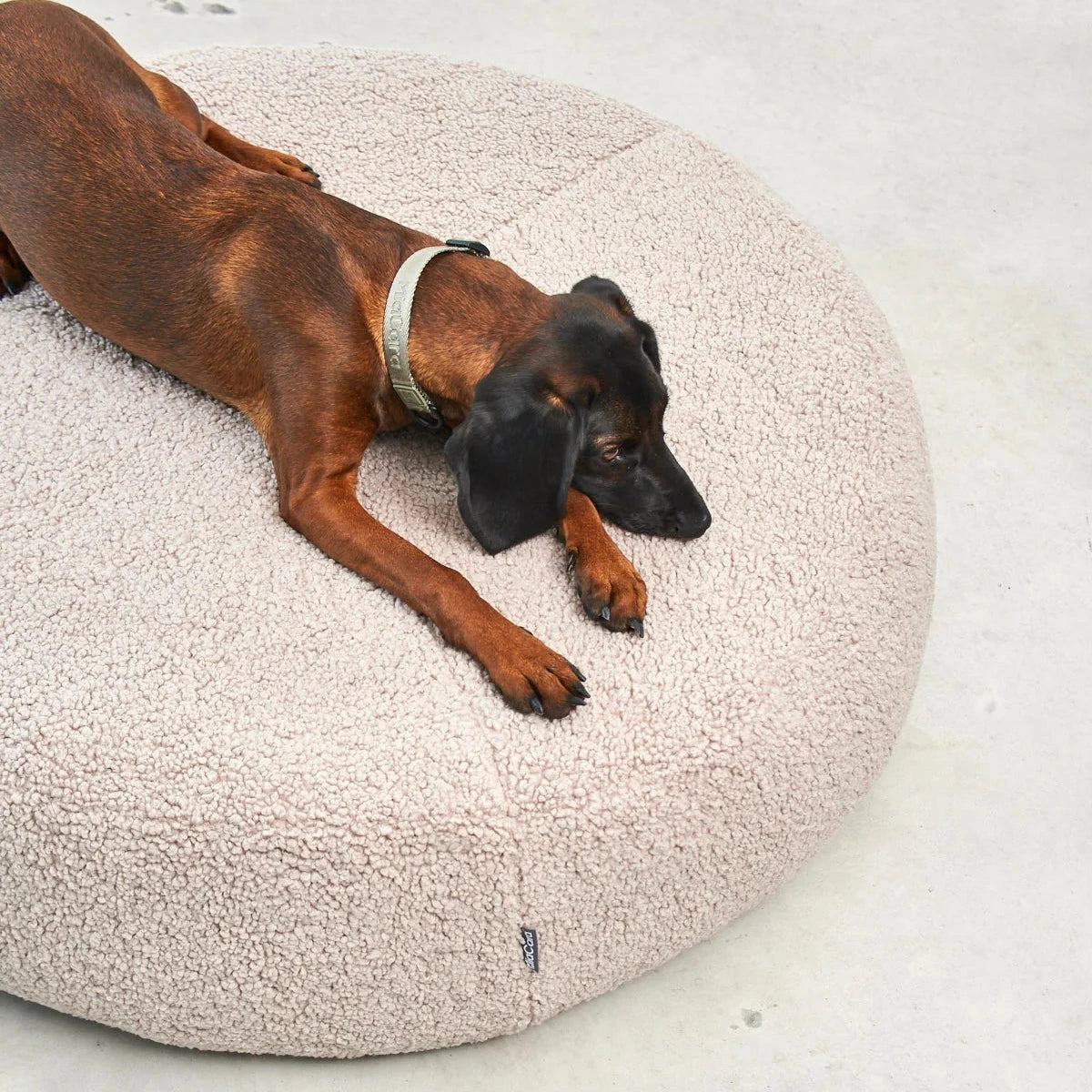 Coussin rond haut de gamme pour chien Senso – confort premium et style moderne