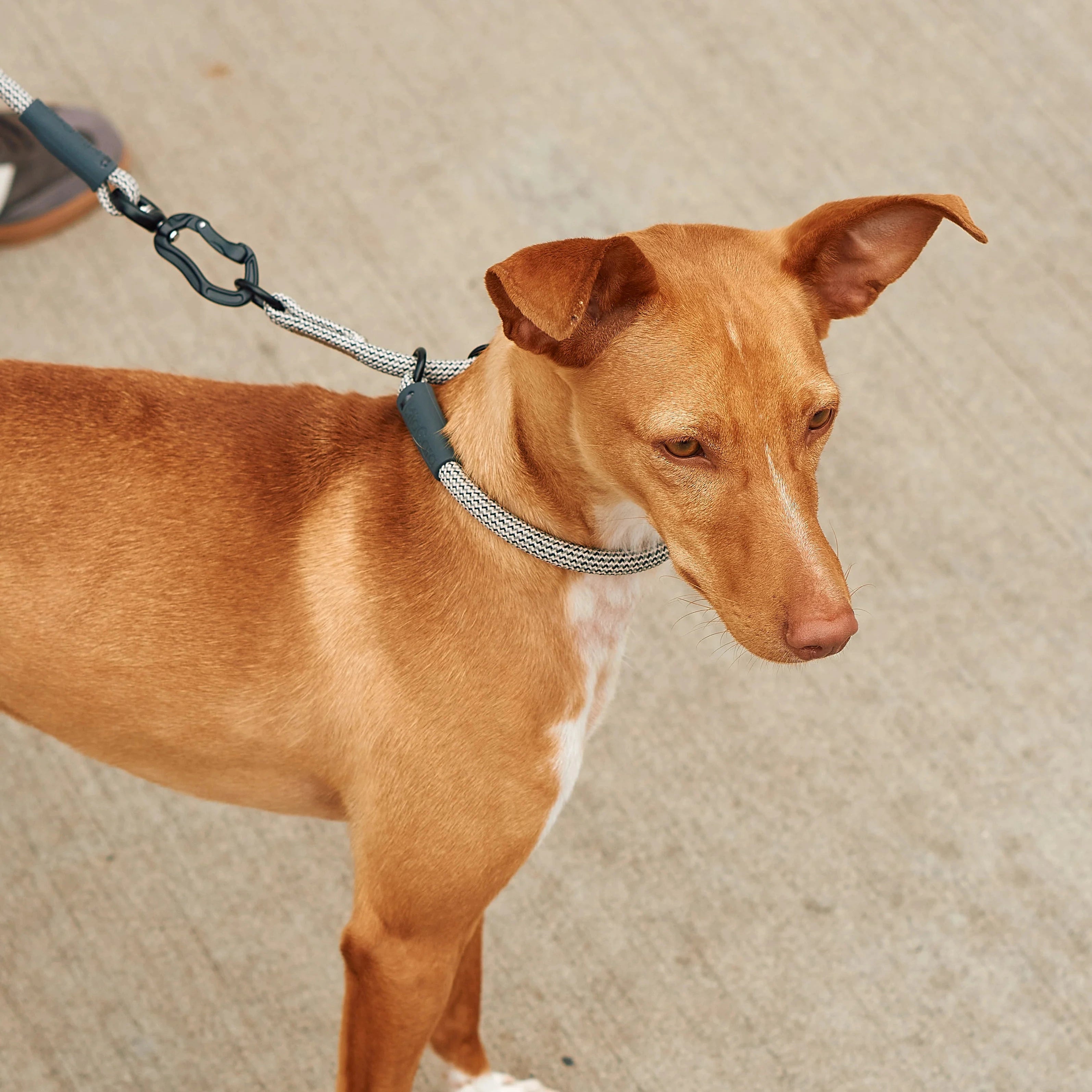 Monza – Collier design en corde nylon premium