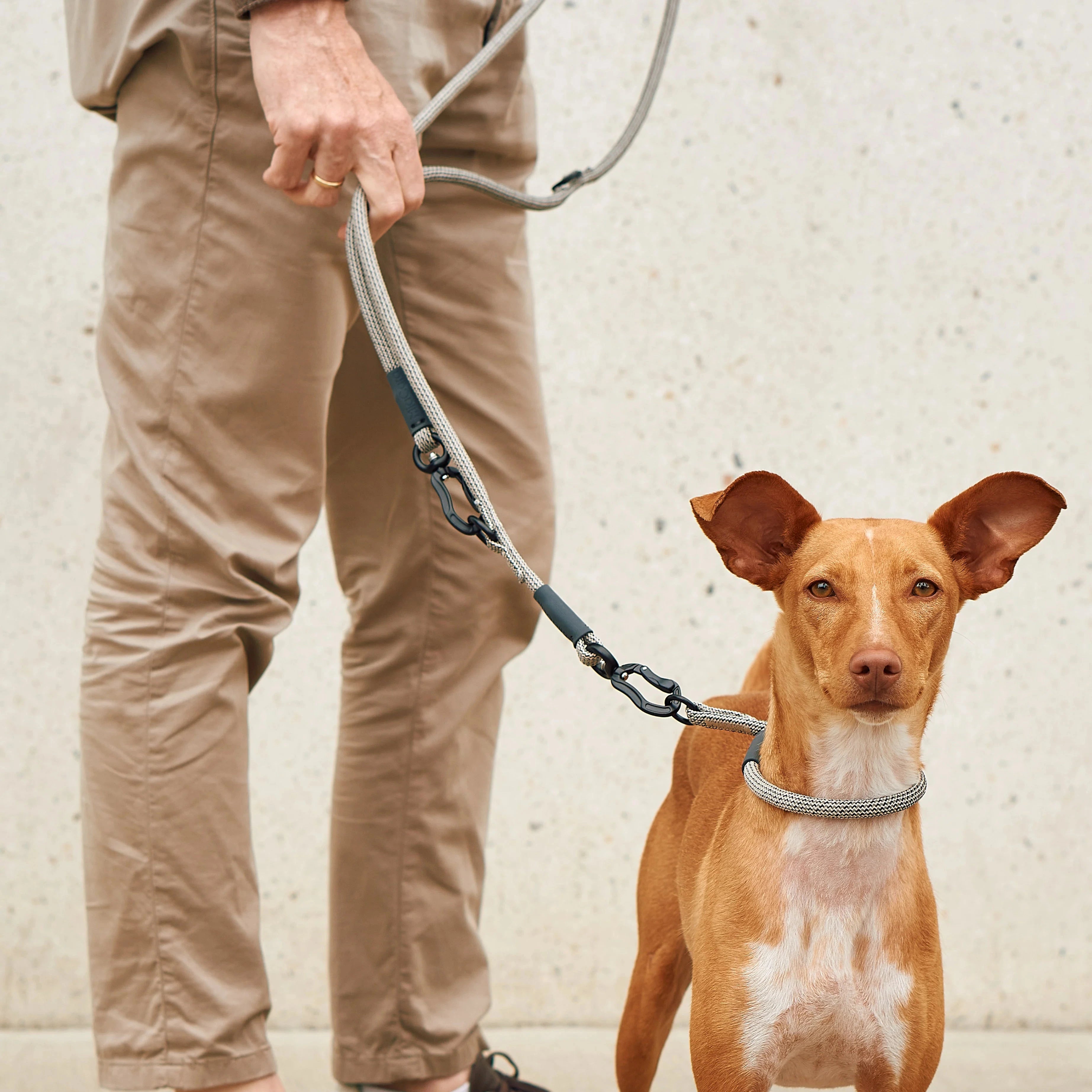 Monza – Laisse design en corde nylon premium