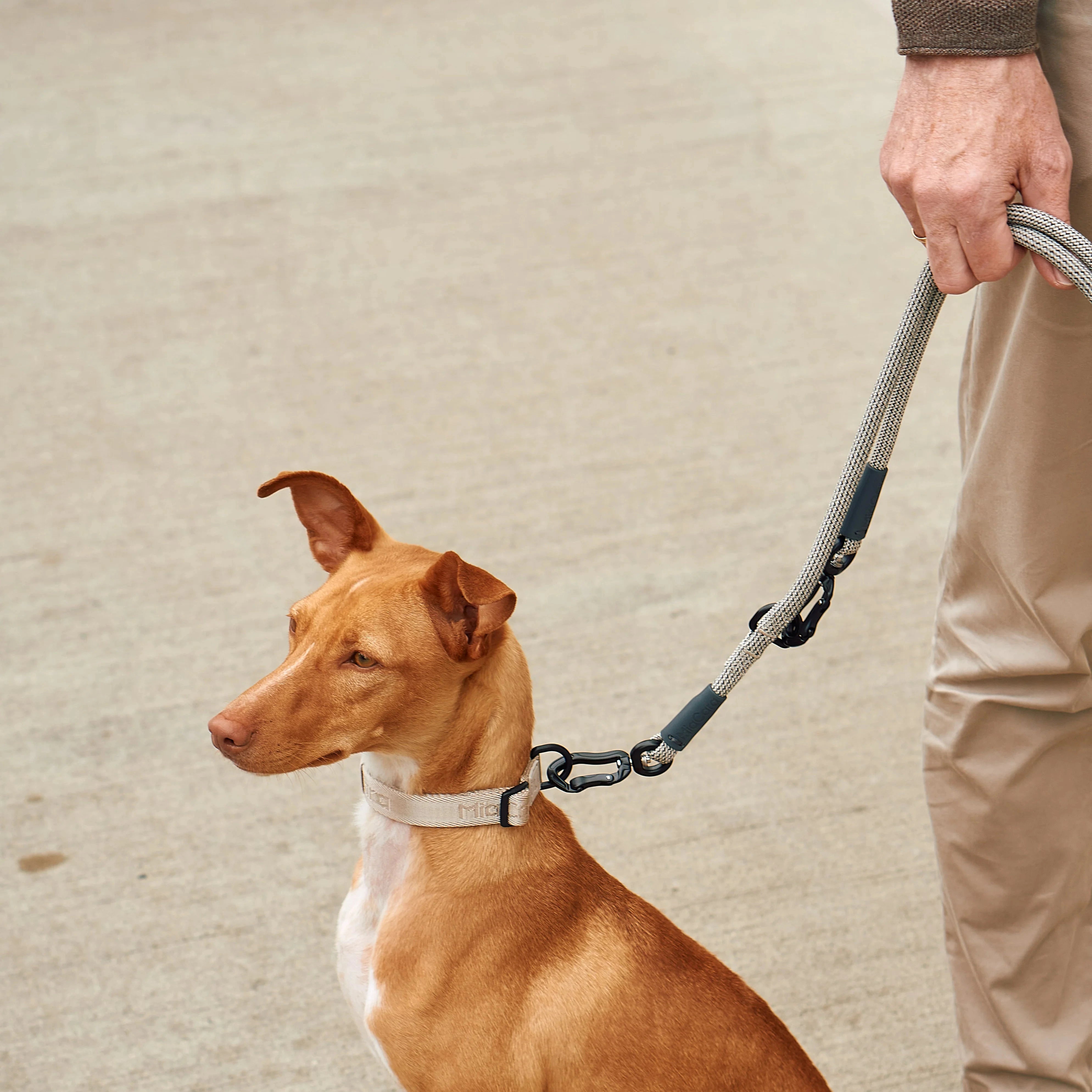 Monza – Laisse design en corde nylon premium