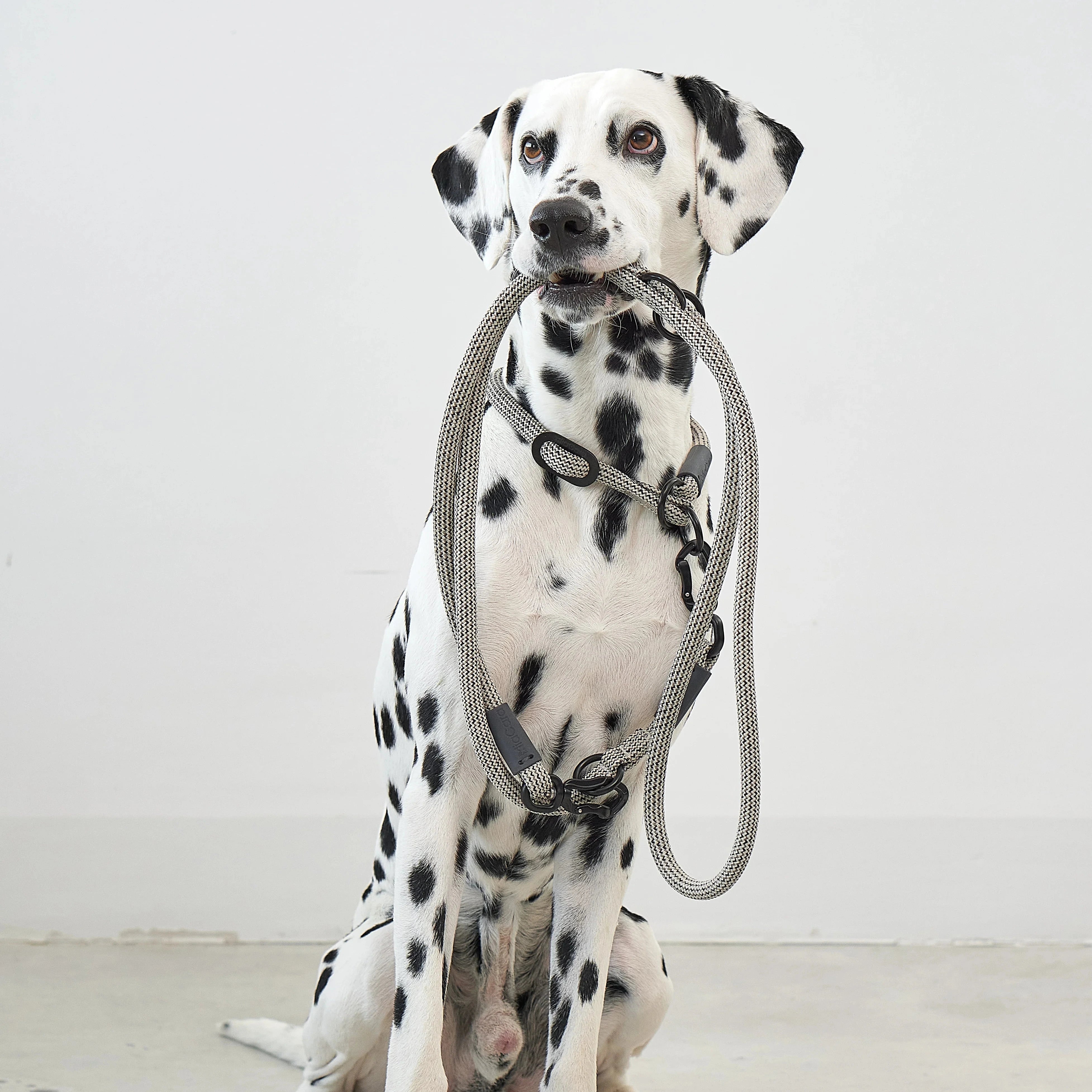 Monza – Laisse design en corde nylon premium