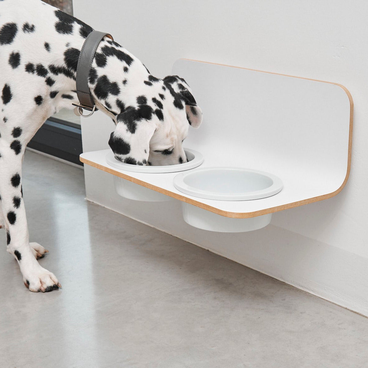 Gamelle Design pour Chien fixation mural | ARCO - Porcelaine