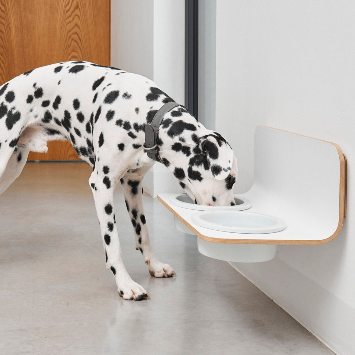 Gamelle Design pour Chien fixation mural | ARCO - Porcelaine