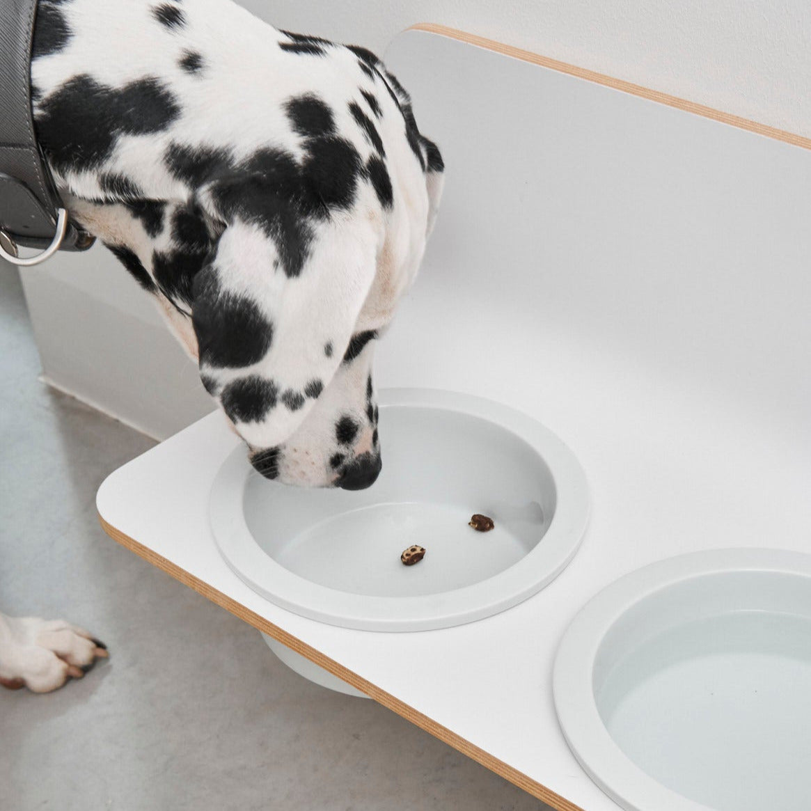 Gamelle Design pour Chien fixation mural | ARCO - Porcelaine