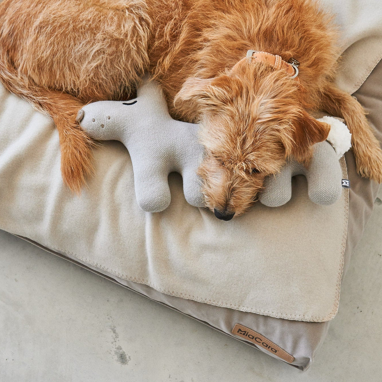 BOSCO LAPIN