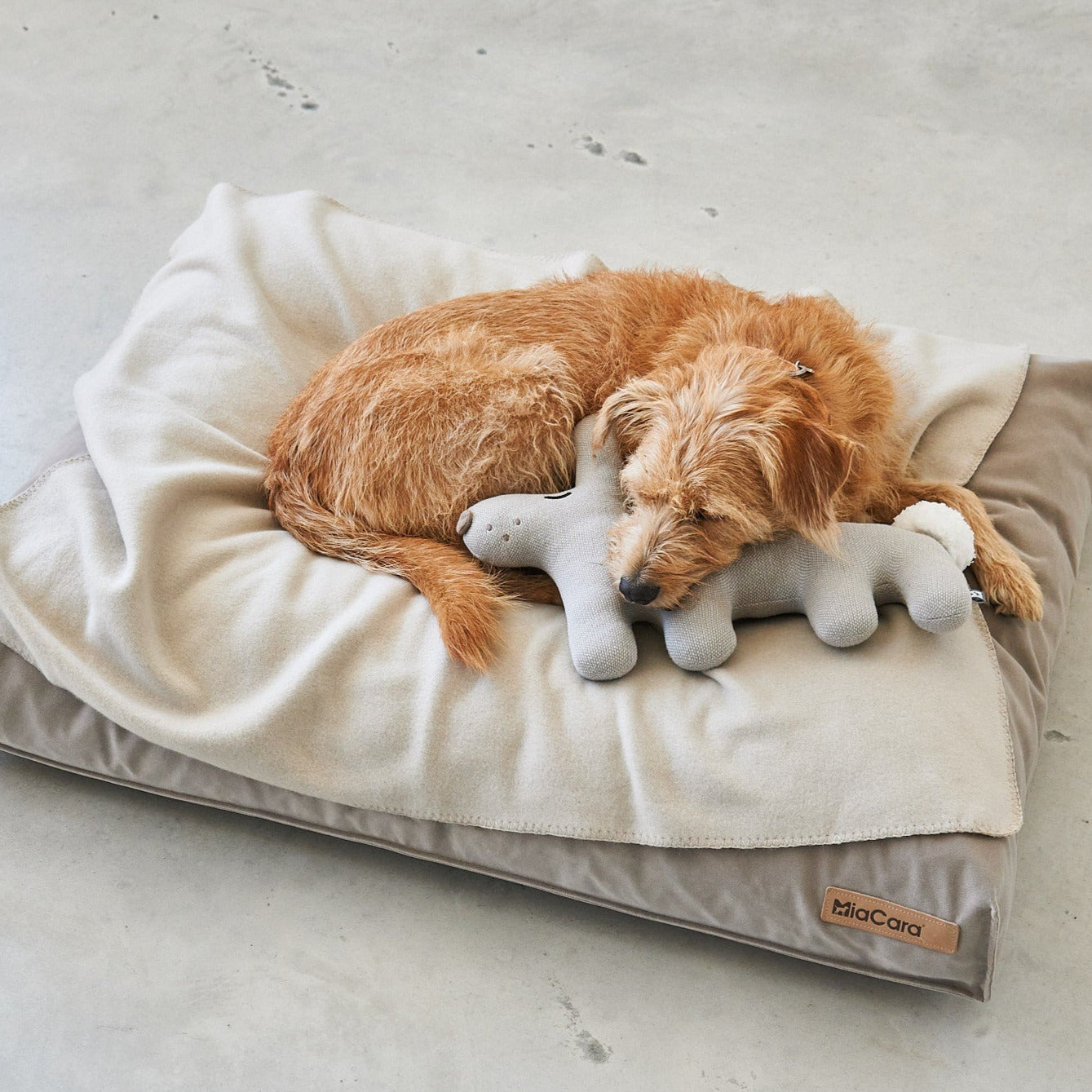 BOSCO LAPIN