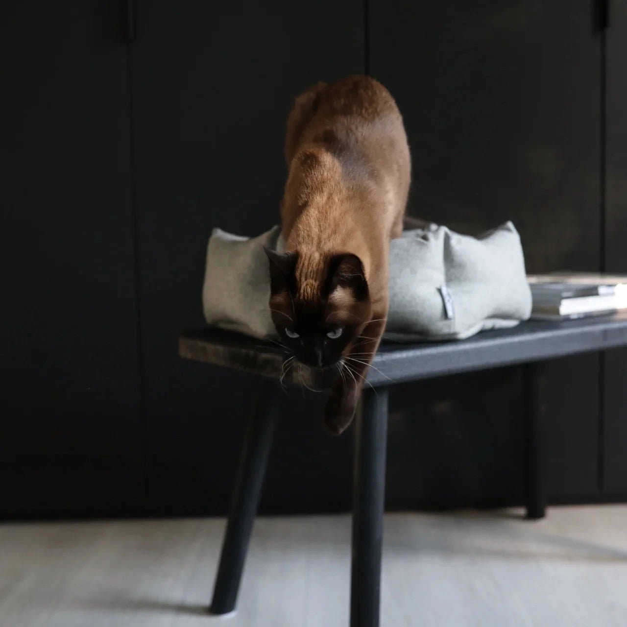 Calma – Panier hexagonal en laine pour chat