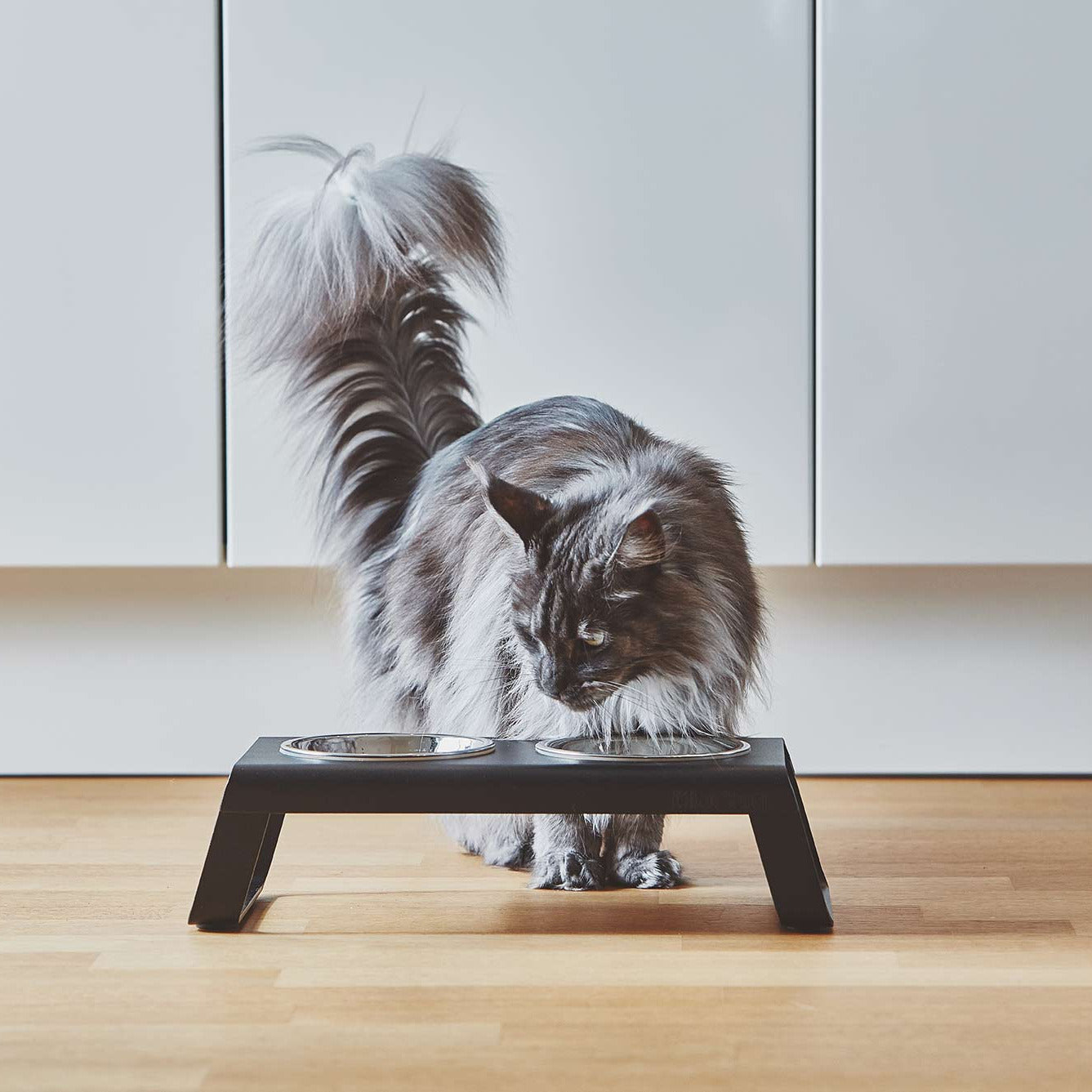 Desco – Gamelle design en aluminium pour chat