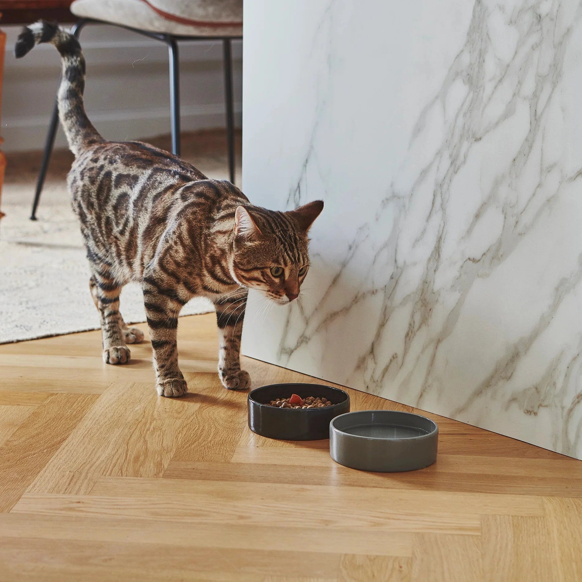 Scodella – Gamelle design en porcelaine pour chat