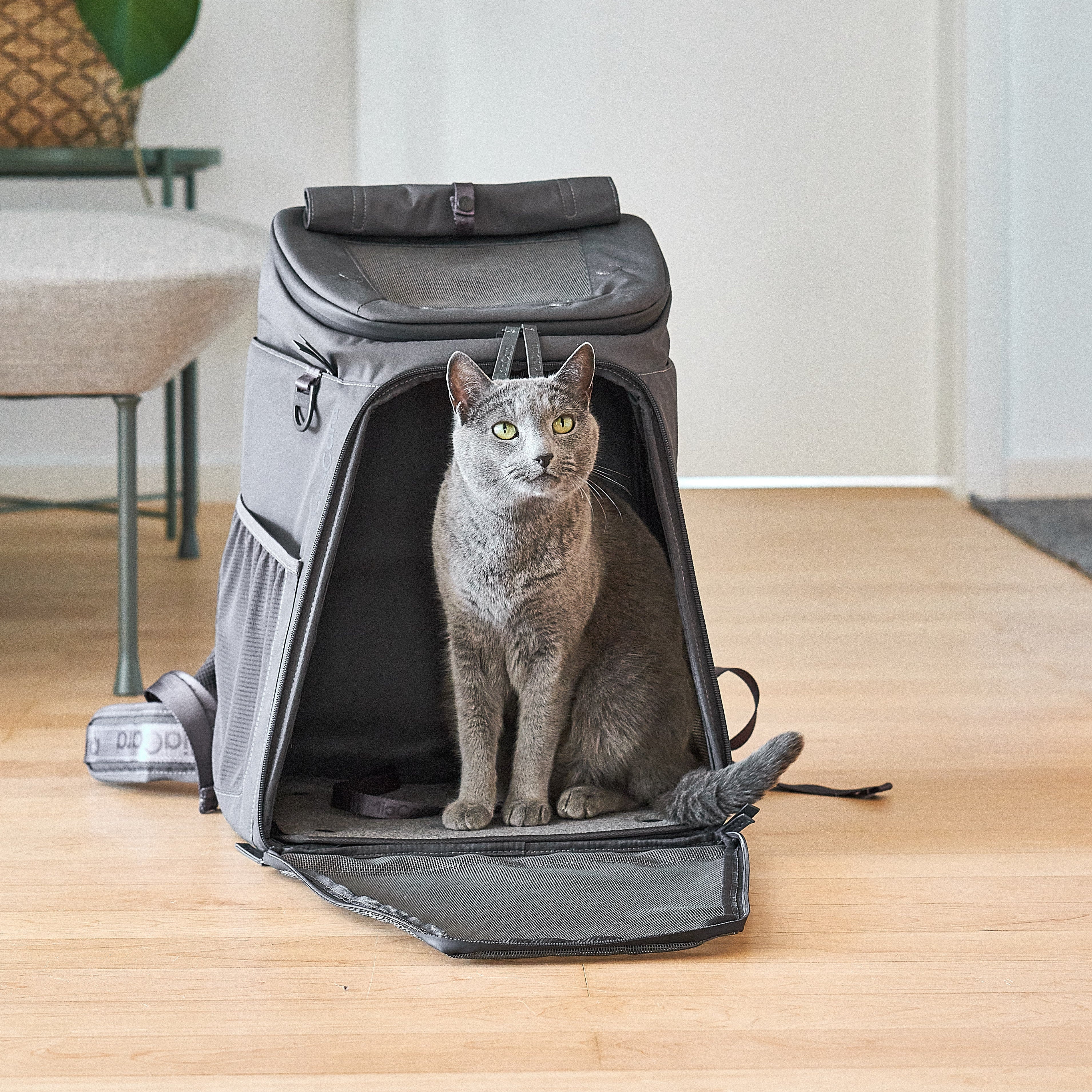 Sac à Dos Zaino pour Chat – Élégance et Confort