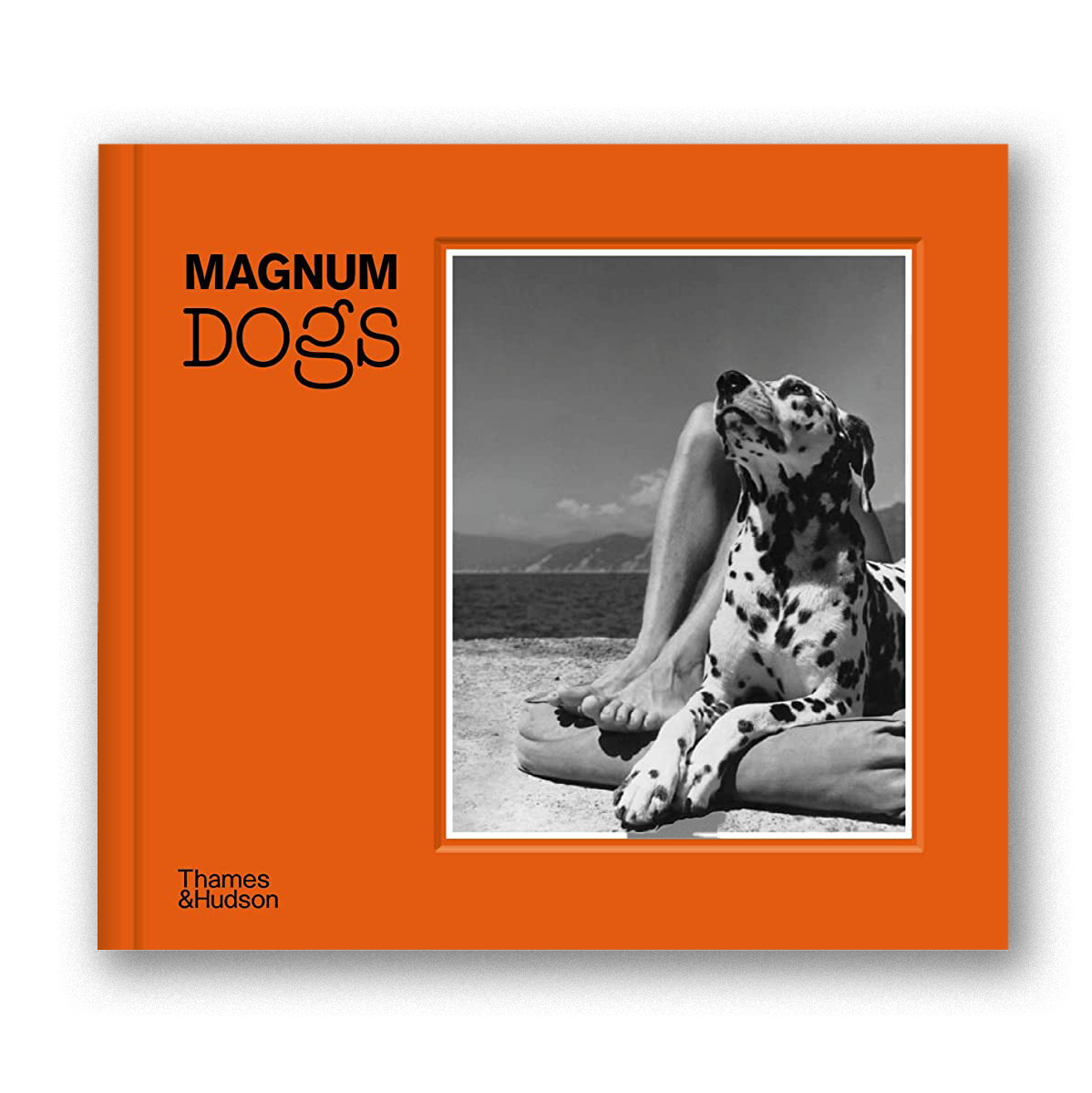 MAGNUM DOGS