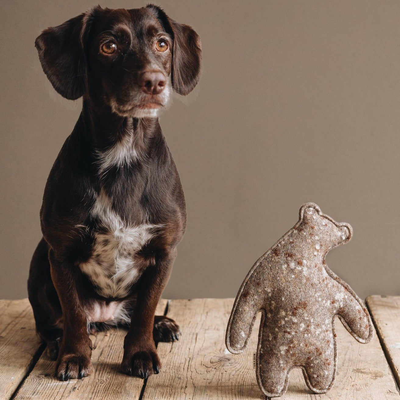 Jouet pour Chien Écologique en laine feutrée - WOOL BEAR