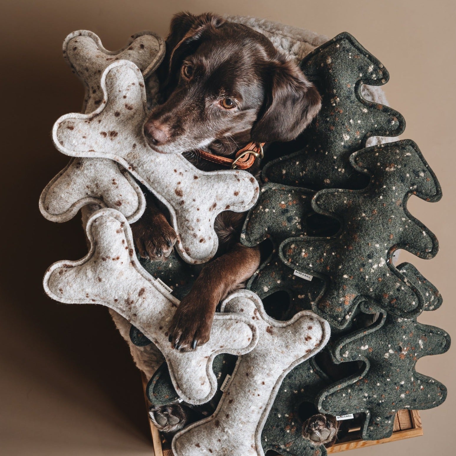 Jouet pour Chien Naturel et Écologique en laine feutrée - WOOL BONE | Peluche pour Chien