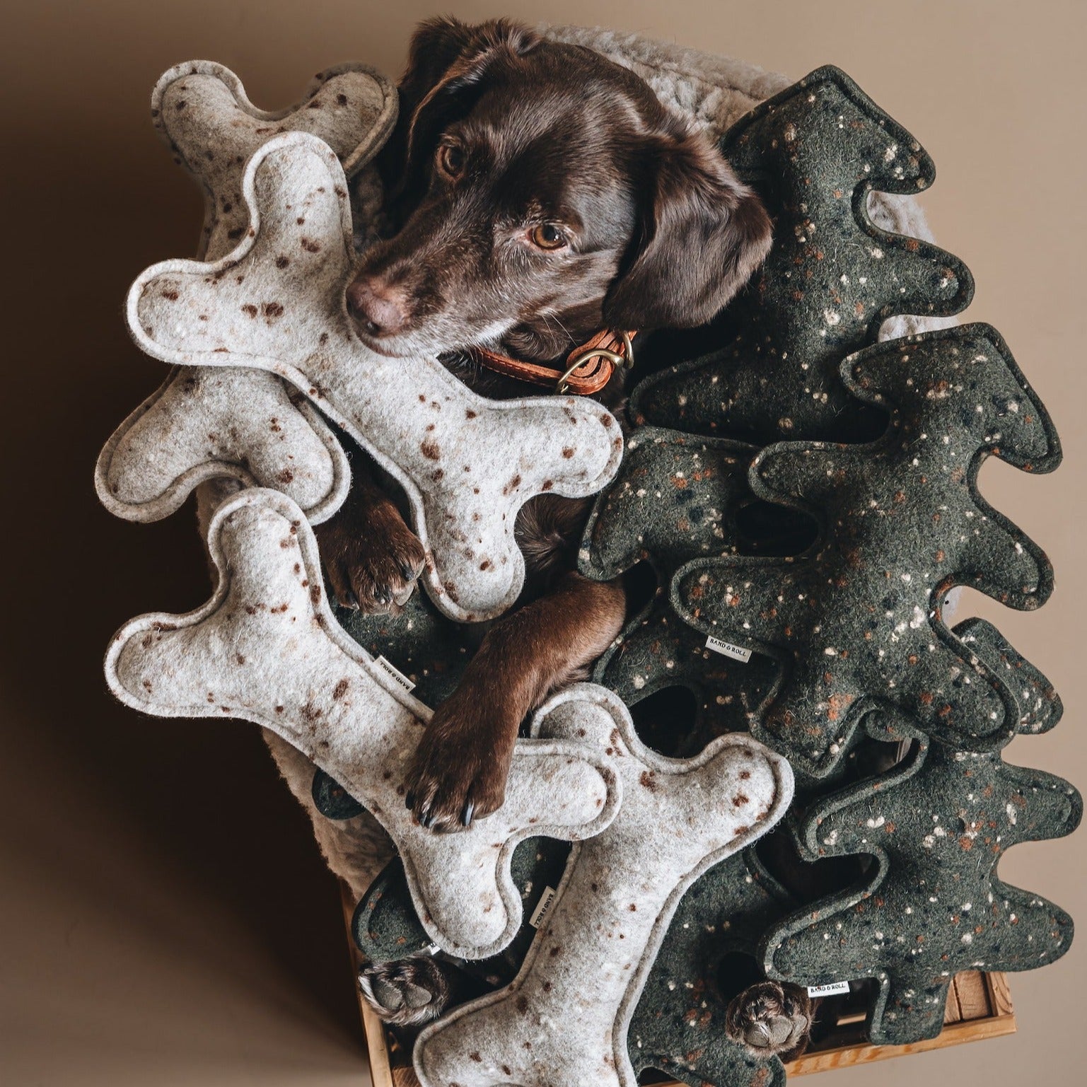 Peluche Os et Sapin pour Chien Écologique en laine feutrée - Lozamo