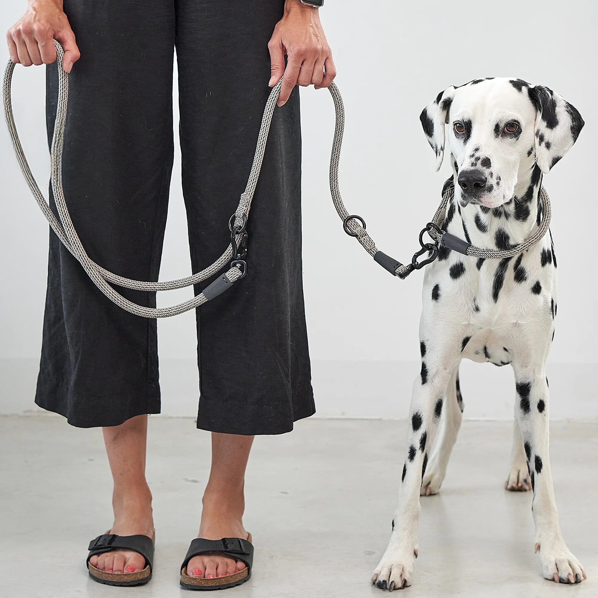 Monza – Laisse design en corde nylon premium