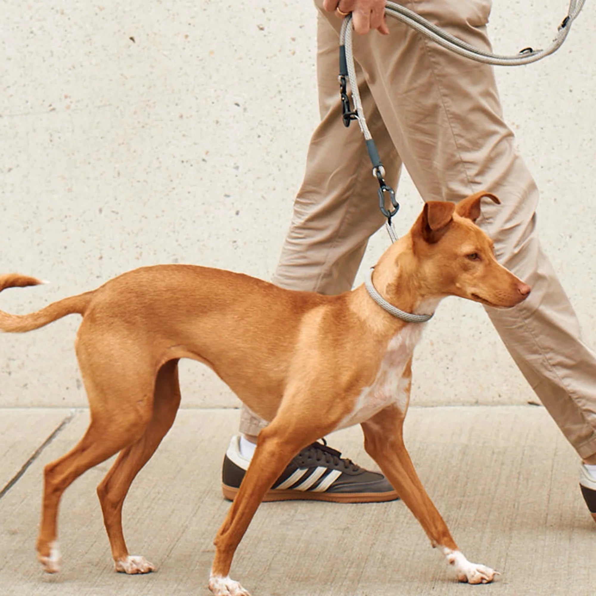 Monza – Collier design en corde nylon premium