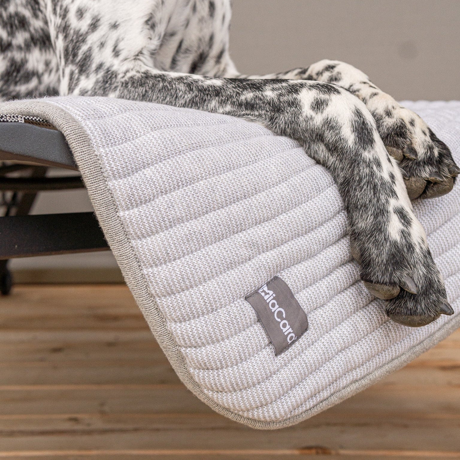 Plaid Onda MiaCara protecteur canapé pour animaux