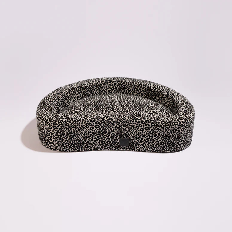 couchage chien élégant intérieur contemporain