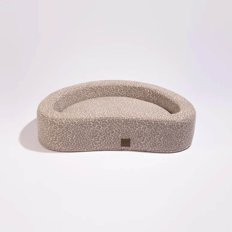 couchage chien élégant intérieur contemporain
