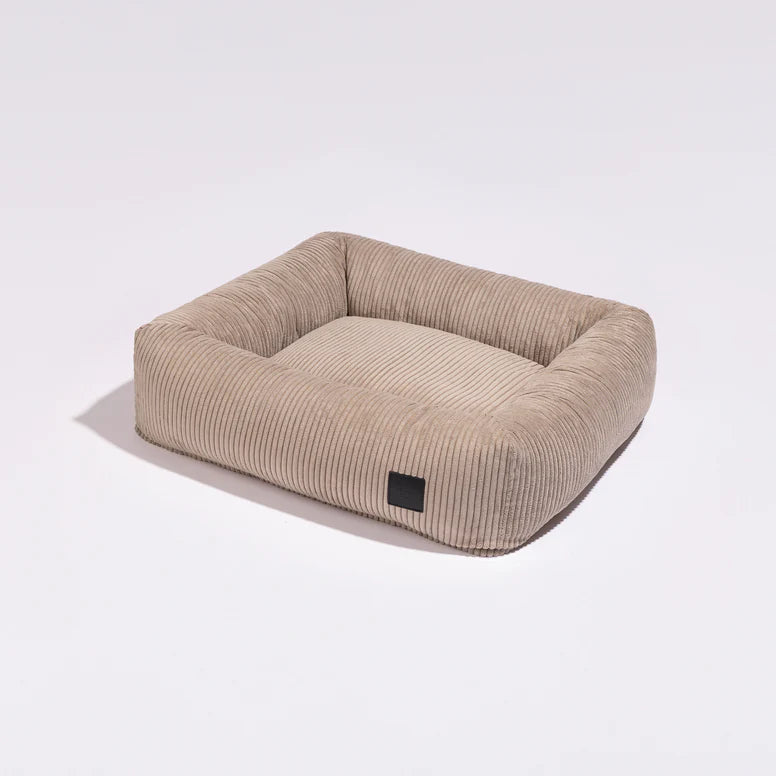 couchage chien velours côtelé design premium