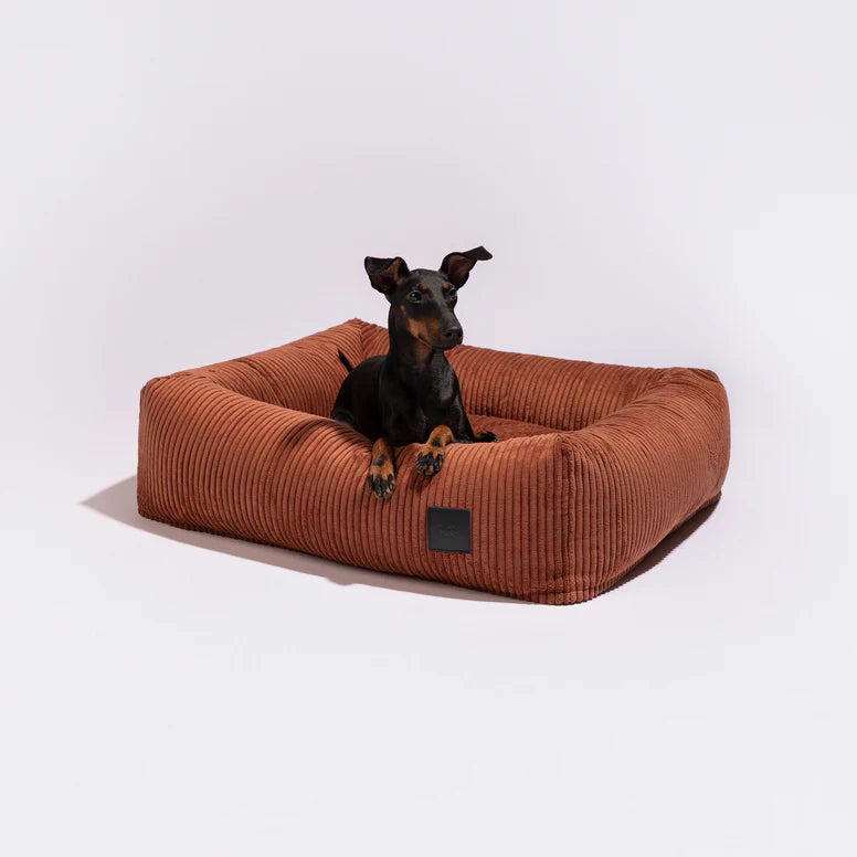 couchage chien velours côtelé design premium