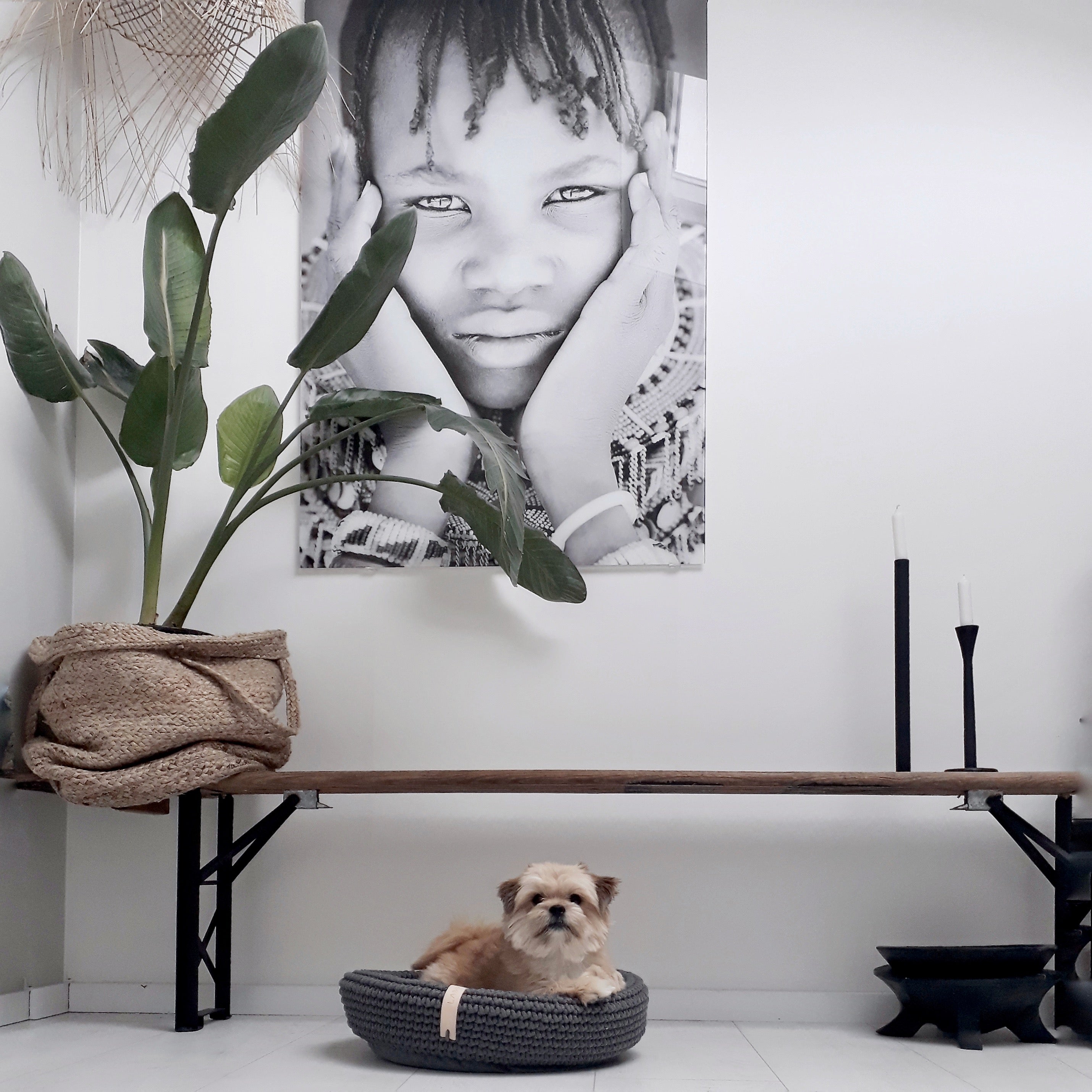 Panier Design pour Chiens | Fabrication Artisanale - COCO