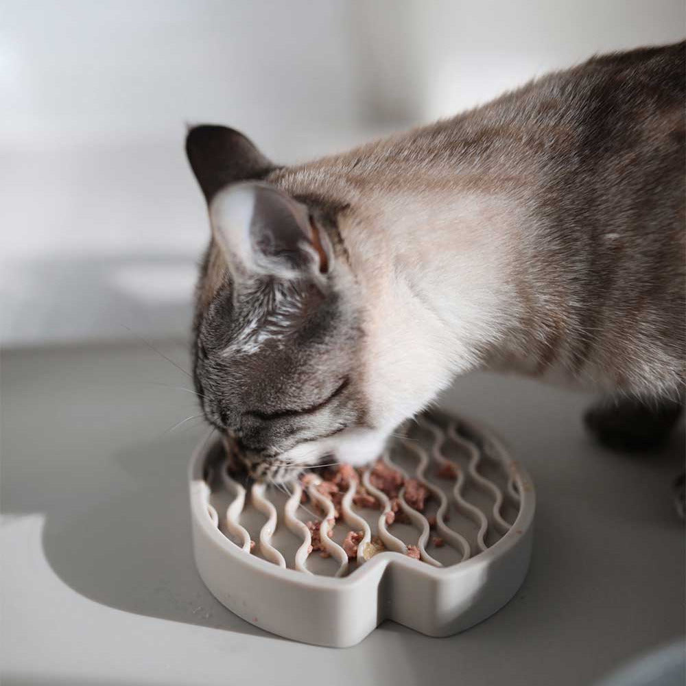 Pesce – Jouet d’occupation design pour chat en silicone