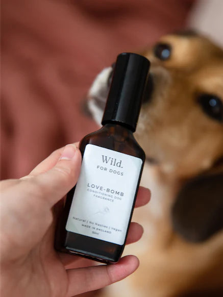 LOVE BOMB DOG FRAGRANCE