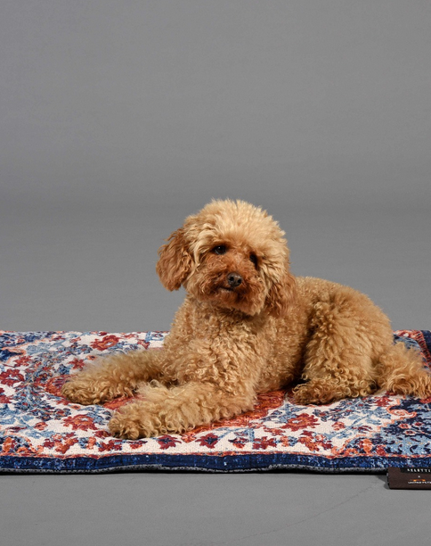 Tappeto – Tapis Design et Confortable