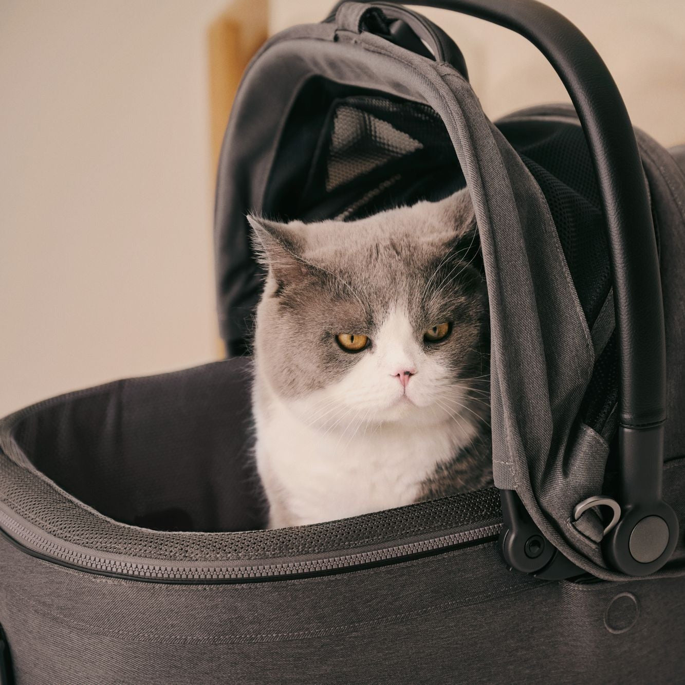 Poussette Roscoe M avec panier ventilé pour chiens et chats