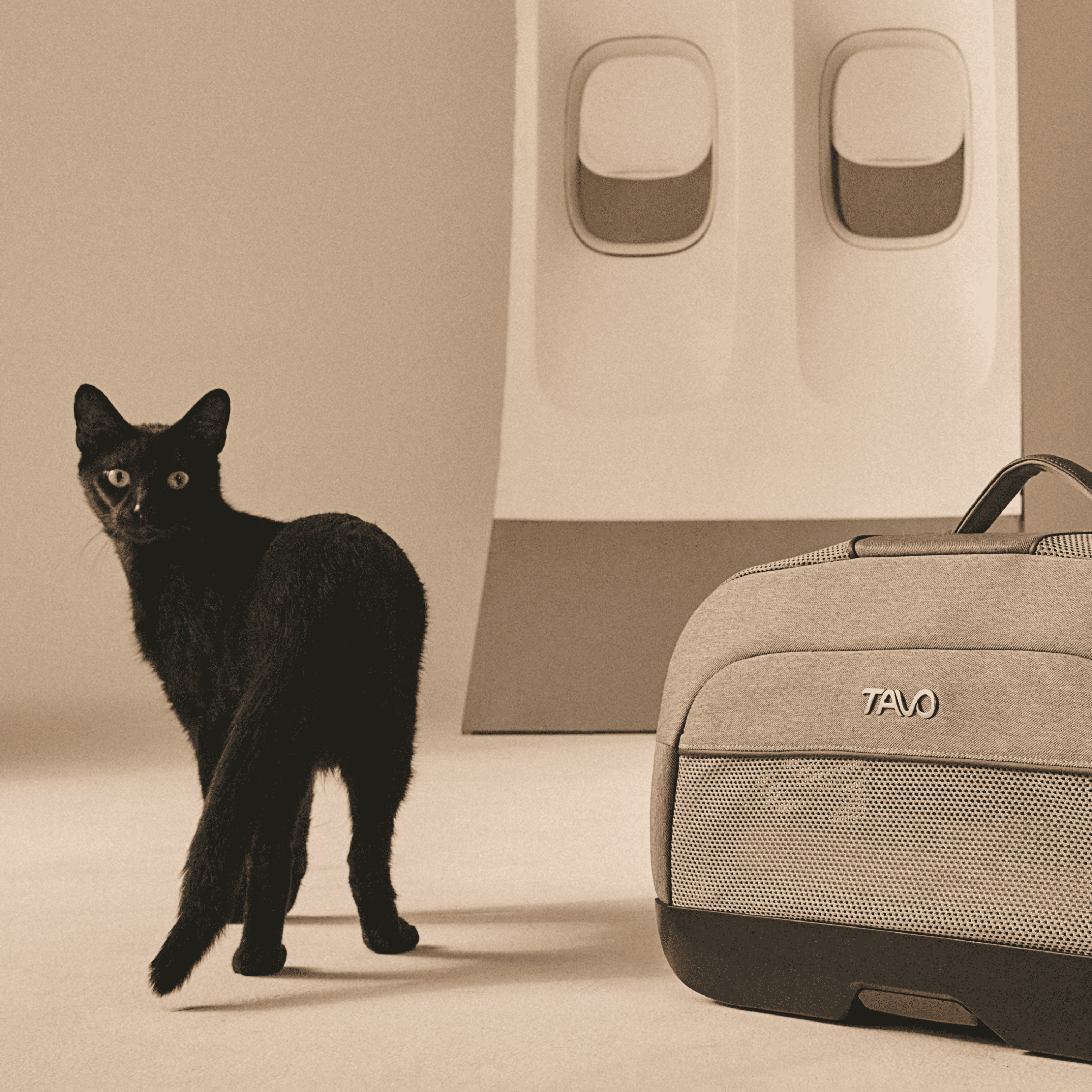 Dupree - sac de transport pour avion et siège auto