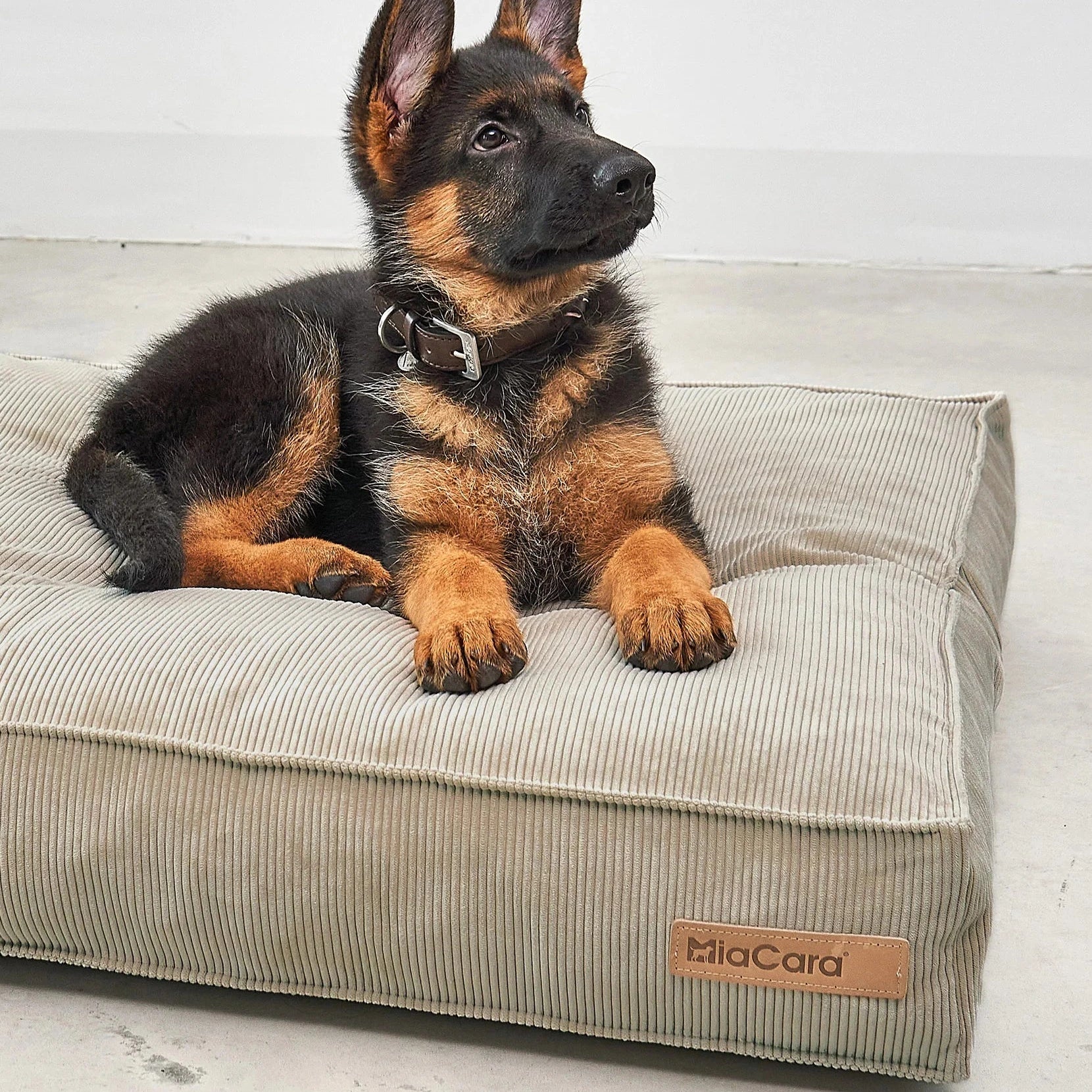 Cordo – Coussin design en velours côtelé