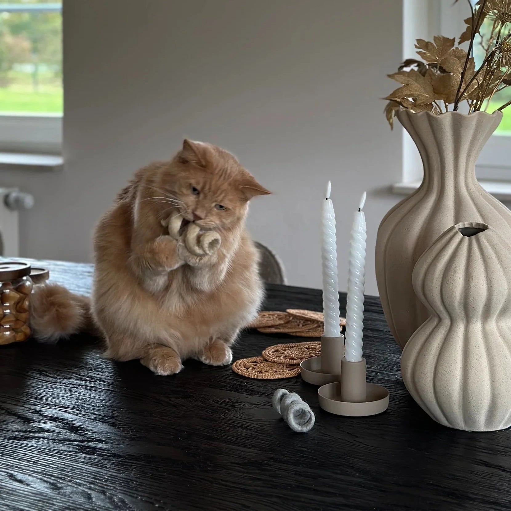 Spira – Jouet design en feutre naturel pour chat