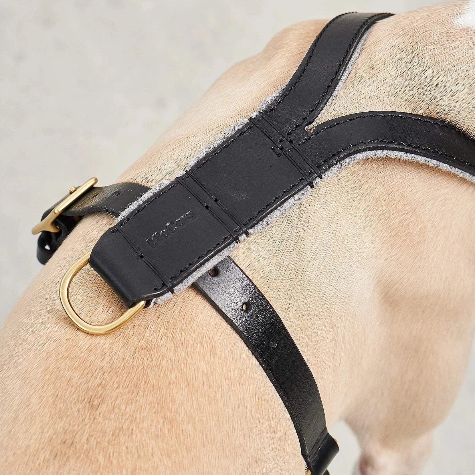 Verona – Harnais cuir élégant & confortable