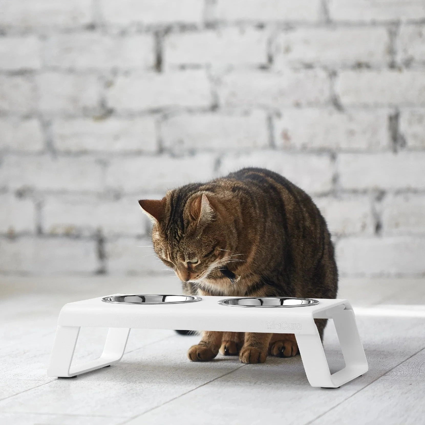 Desco – Gamelle design en aluminium pour chat