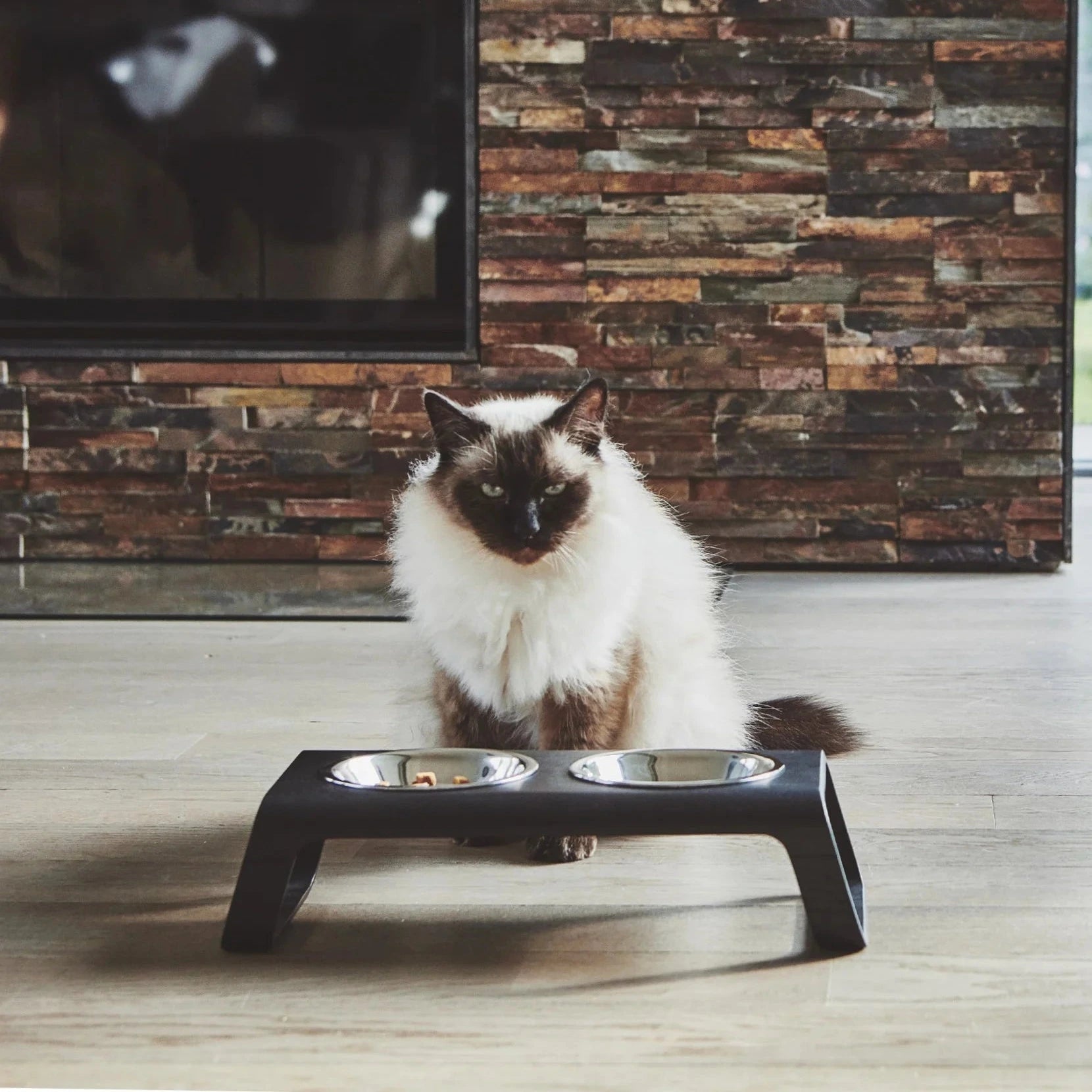 Desco – Gamelle design en bois et acier inoxydable pour chat