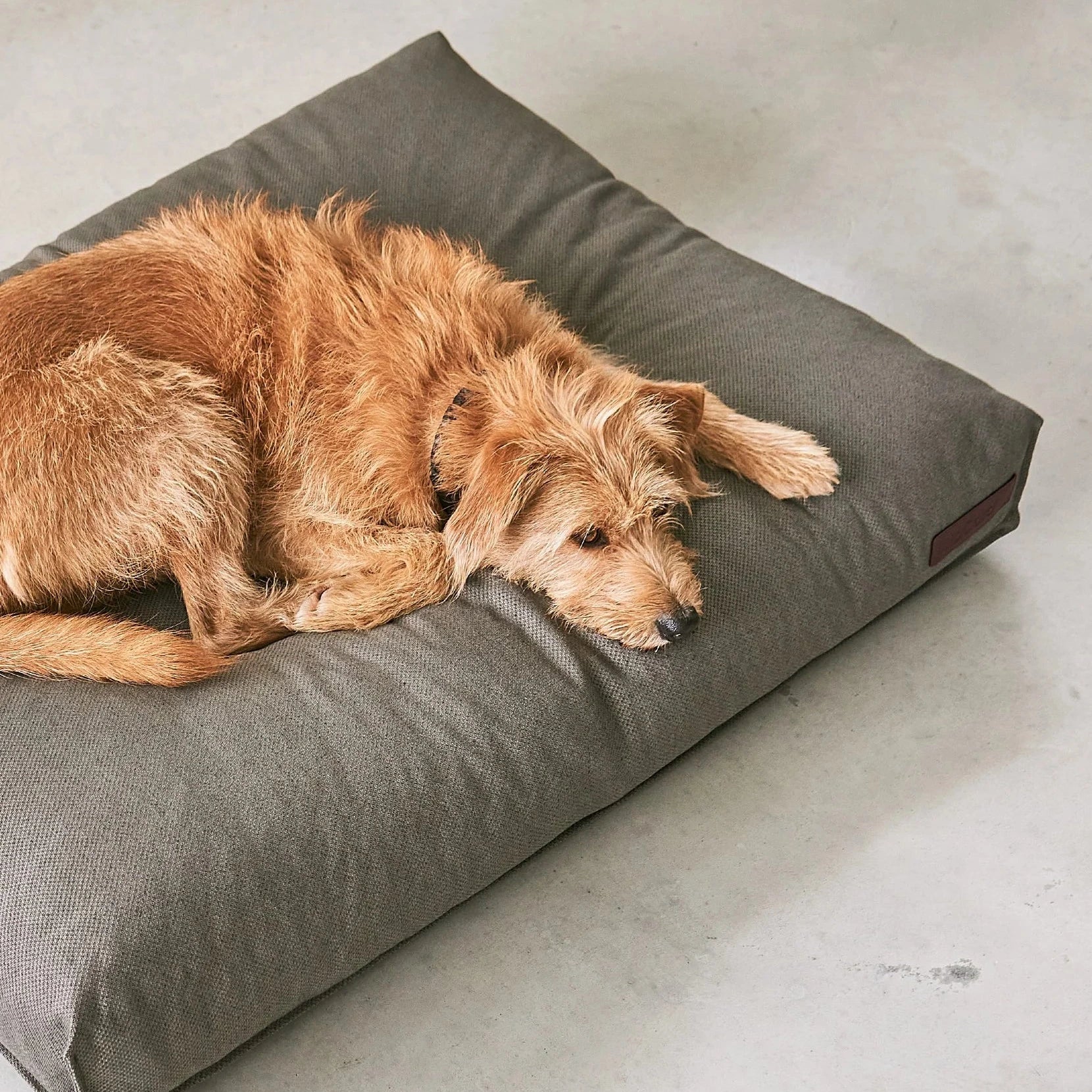 Mare – Coussin écoresponsable et orthopédique