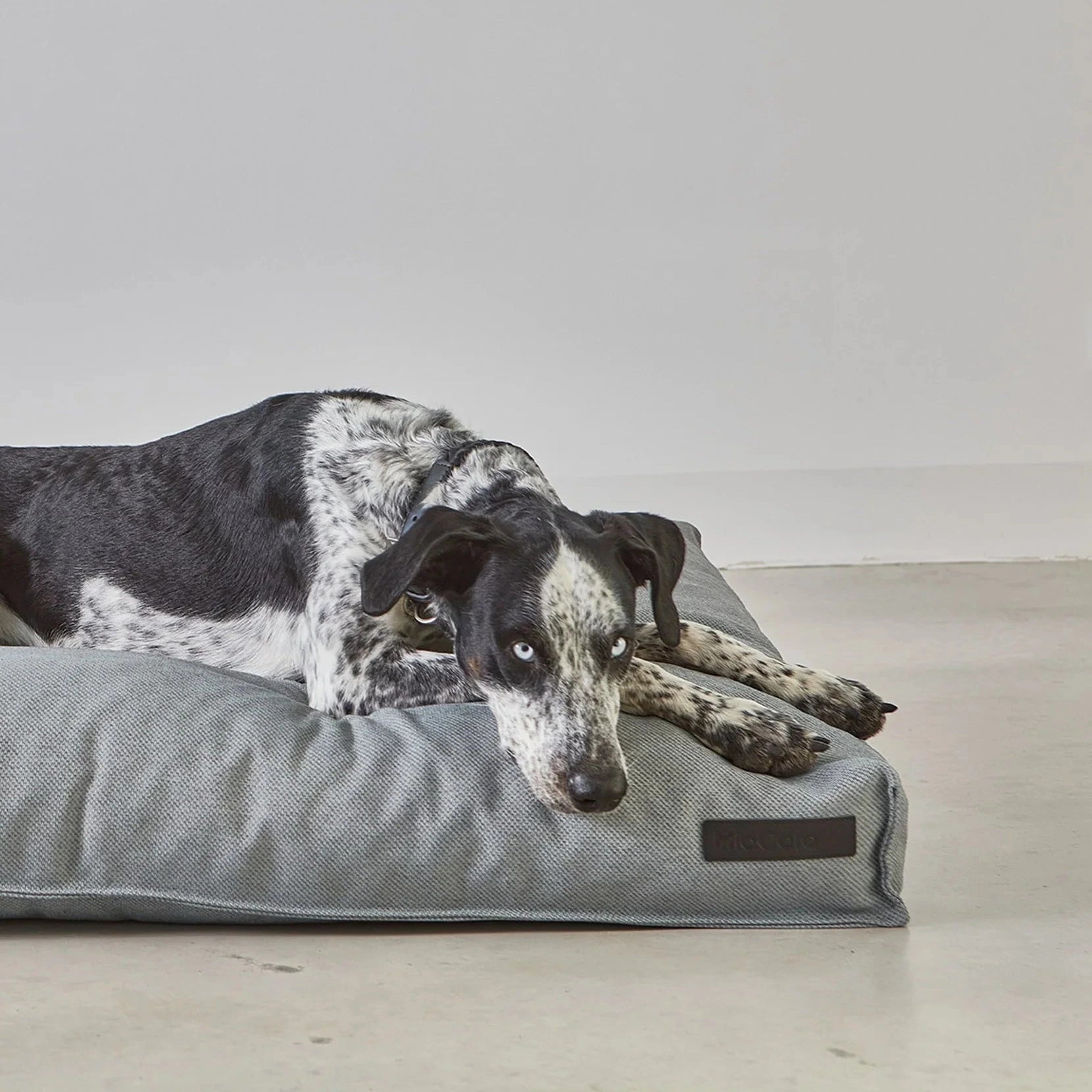 Mare – Coussin écoresponsable et orthopédique