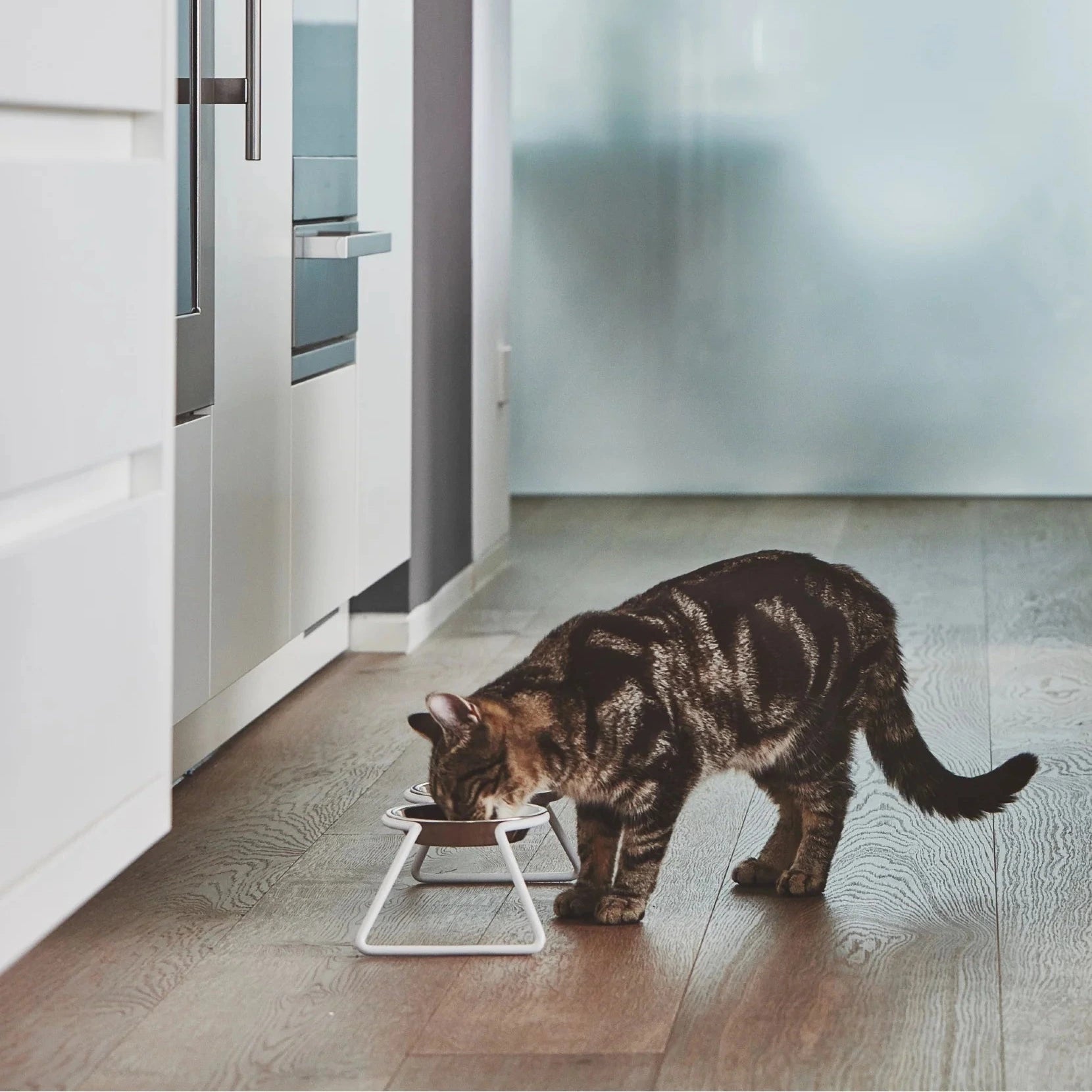 Cena – Gamelle double design en métal et inox pour chat