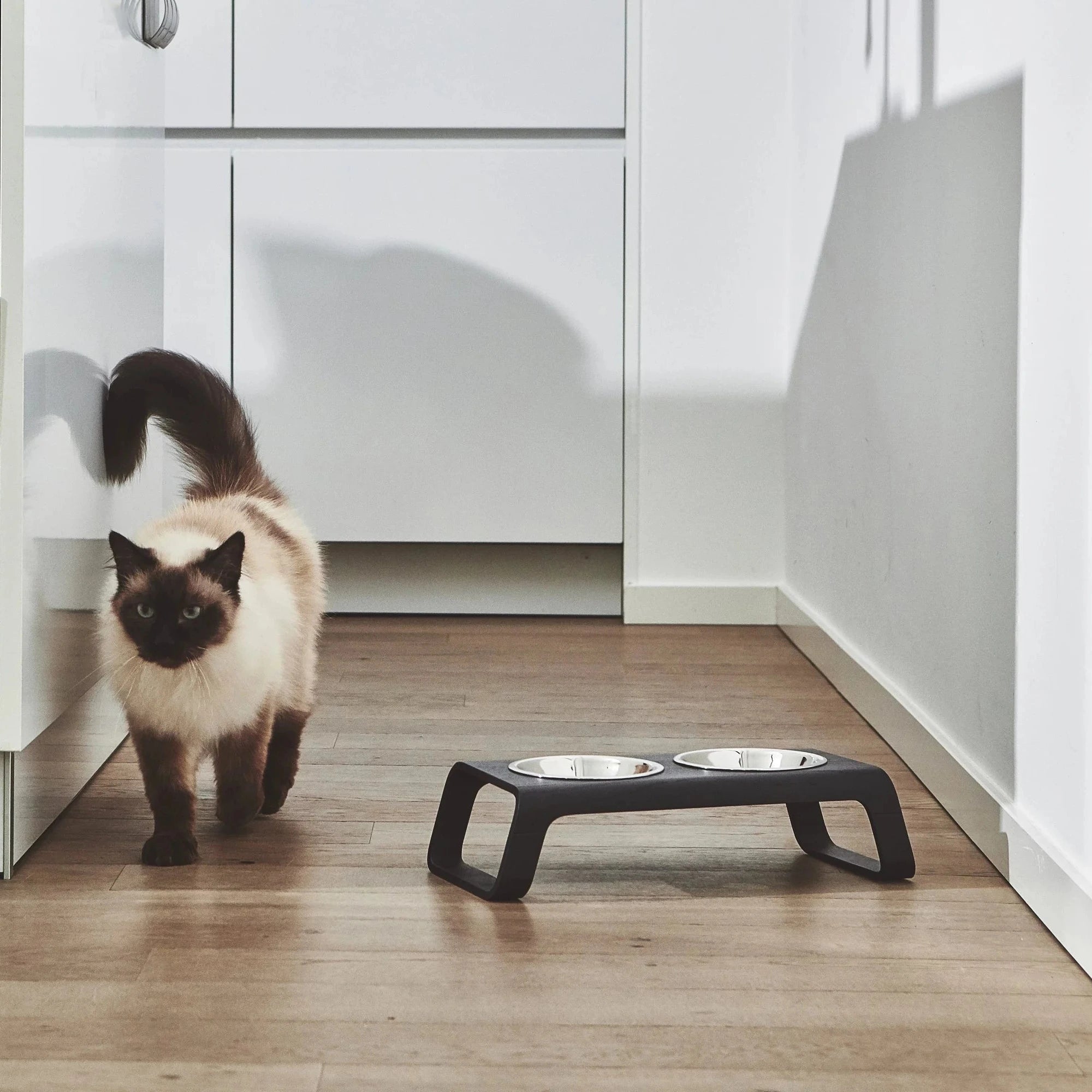 Desco – Gamelle design en bois et acier inoxydable pour chat