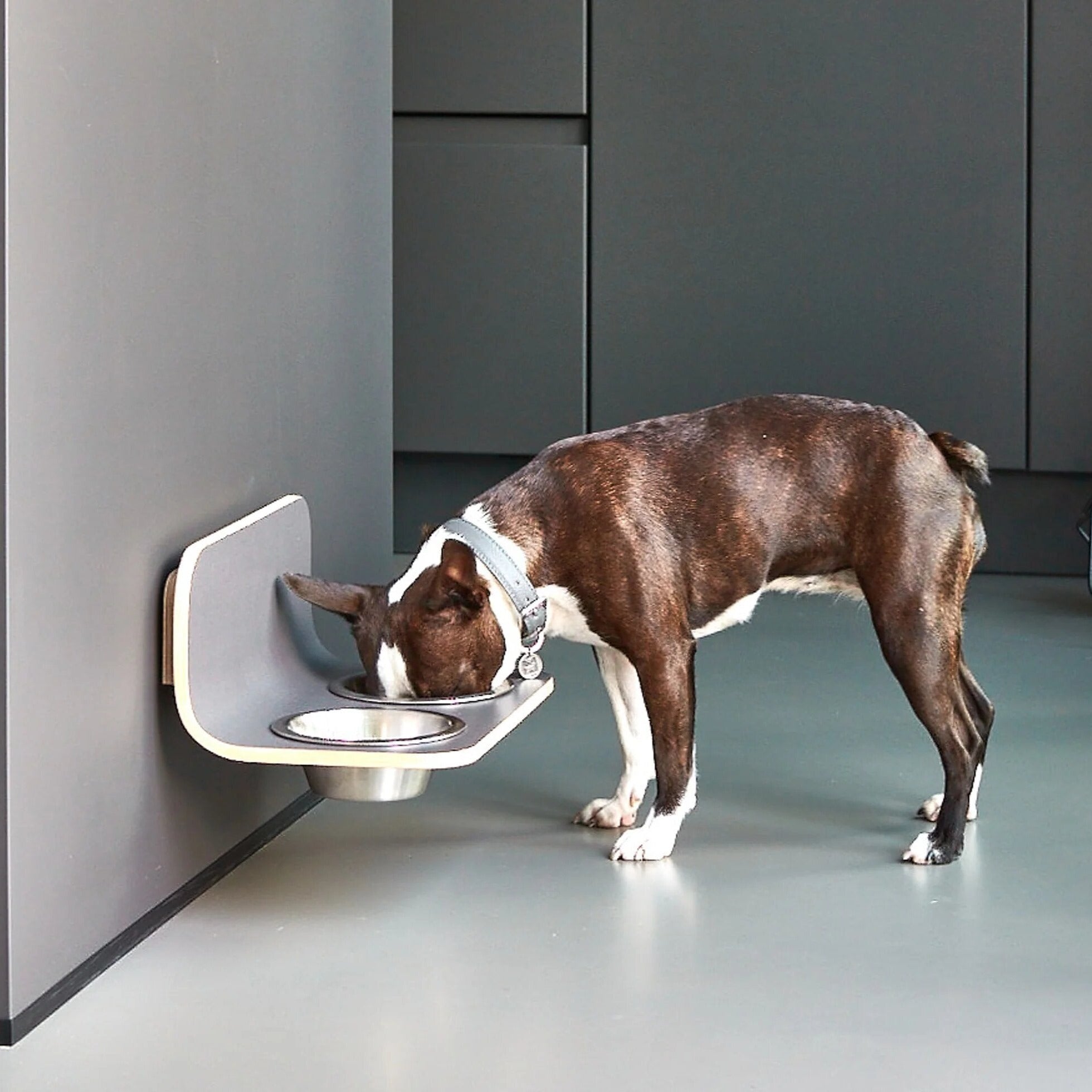 Gamelle Design pour Chien fixation mural | ARCO - Gamelle en Acier