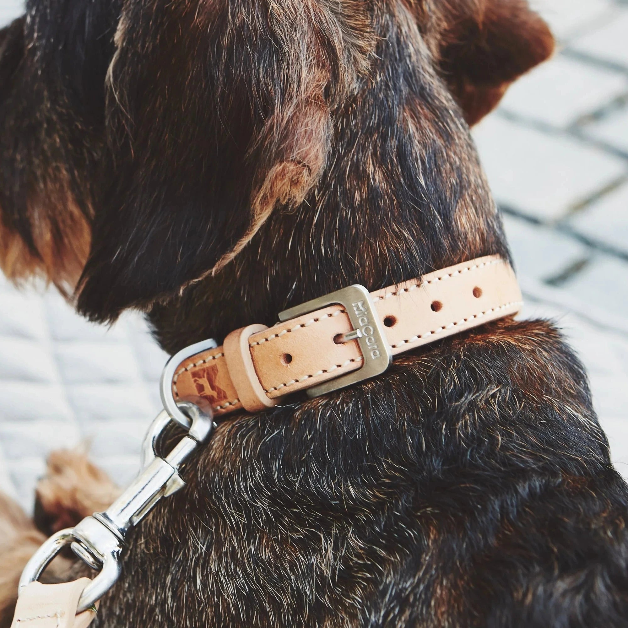 Collier chien Bergamo MiaCara en cuir tressé double-face naturel