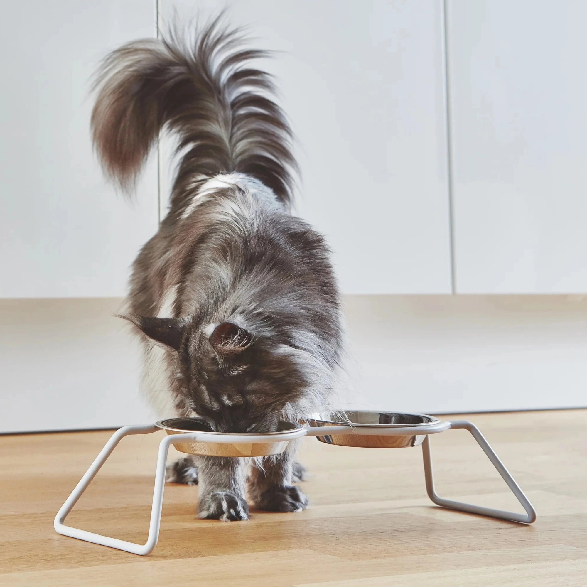 Cena – Gamelle double design en métal et inox pour chat