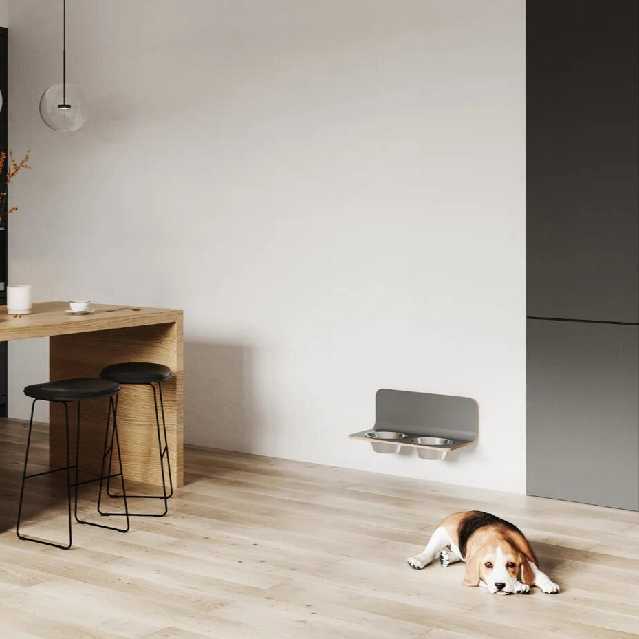 Gamelle Design pour Chien fixation mural | ARCO - Gamelle en Acier