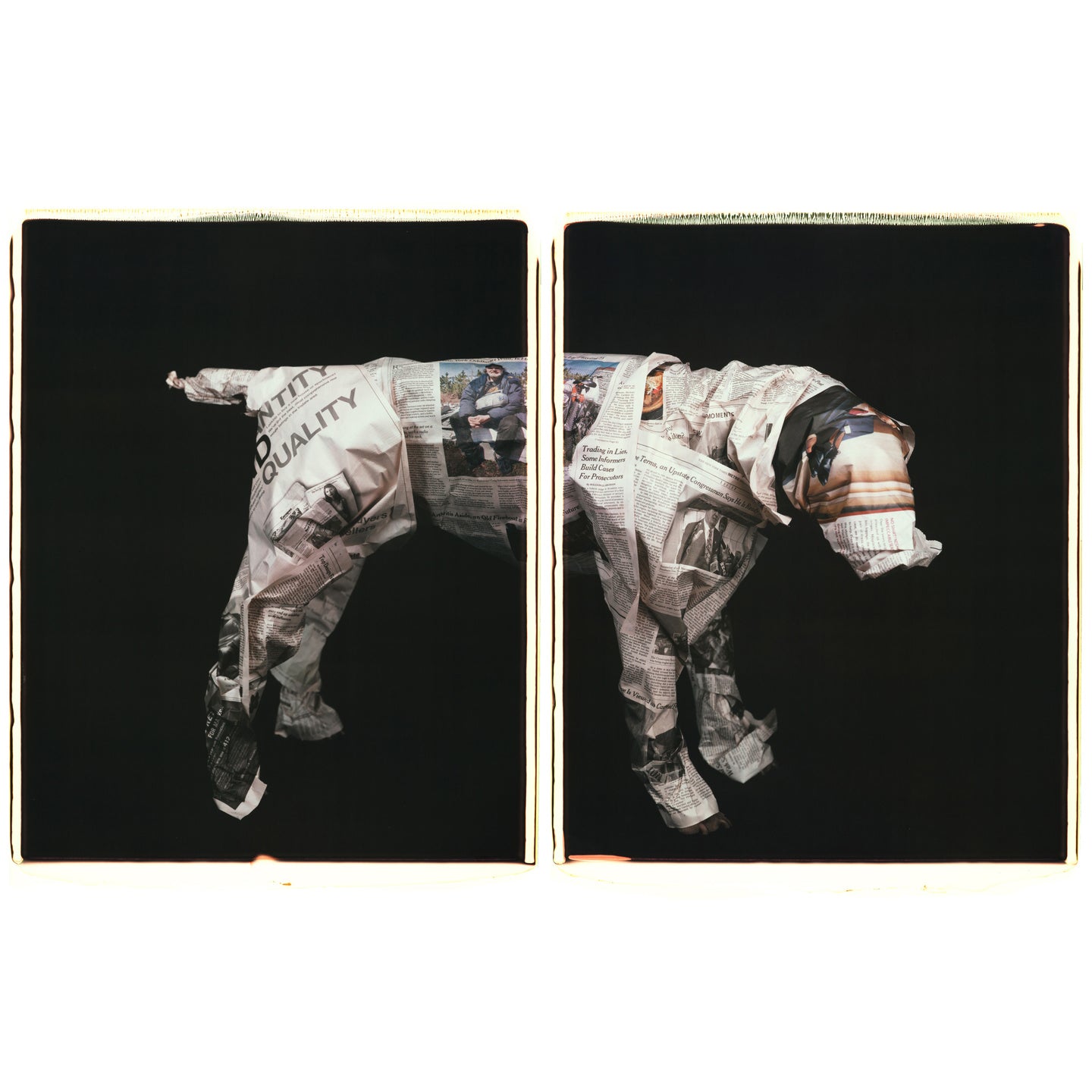 Livre William Wegman - ÊTRE HUMAIN | Photographies de chiens