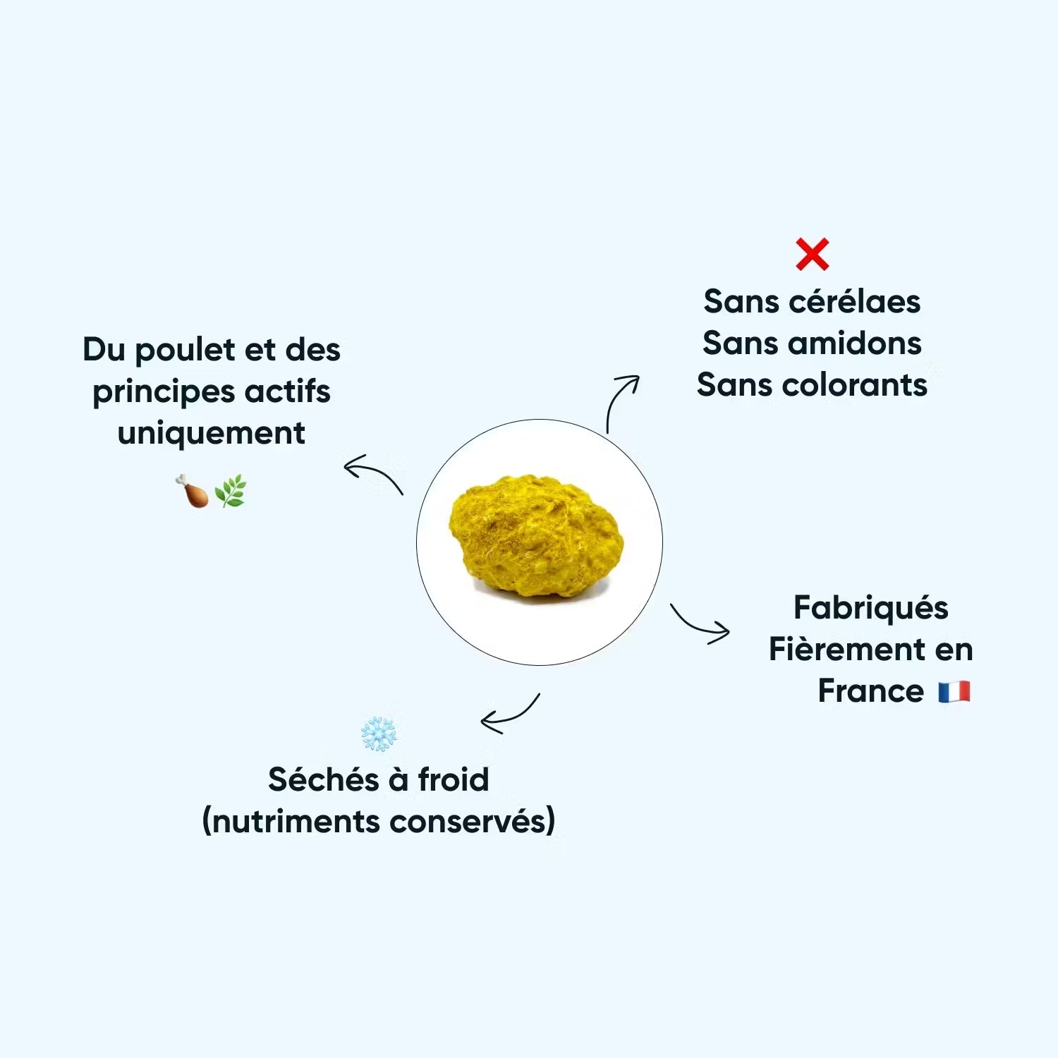 DIGESTION & TRANSIT