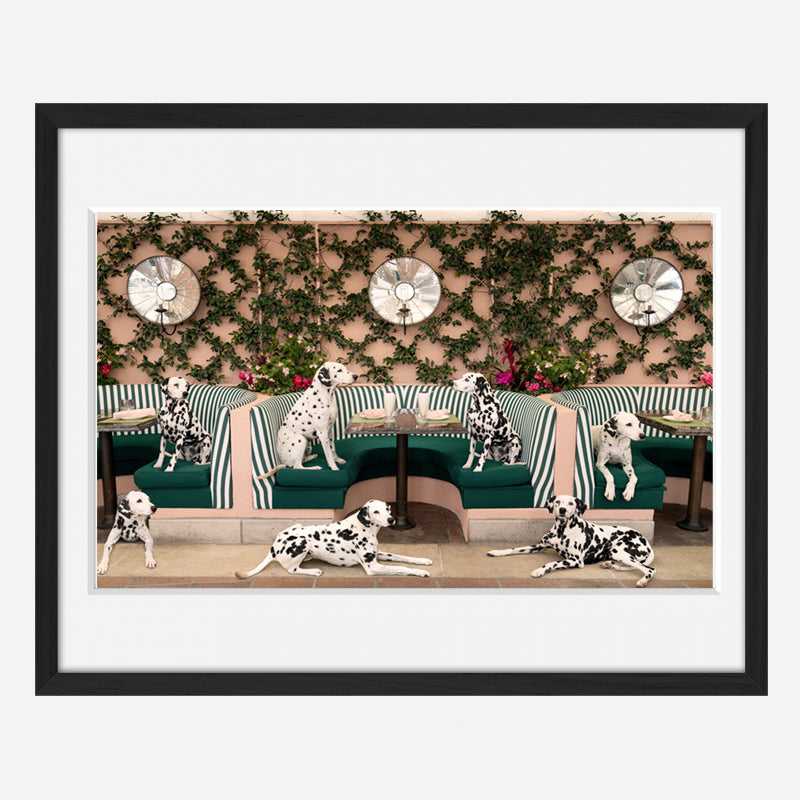 Tableau de Chiens au Beverly Hills Hotel | CABANA CAFE - Gray Malin