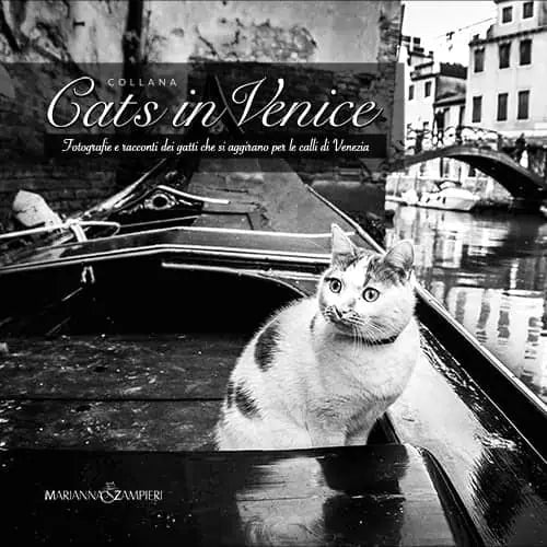CATS IN VENICE VOL 1