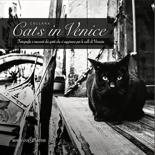 CATS IN VENICE VOL 2